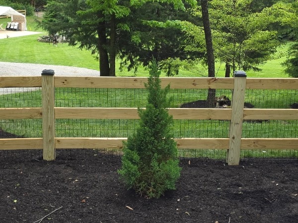 Three-rail wood fence with wire mesh and solar post caps